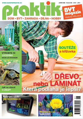 Praktik