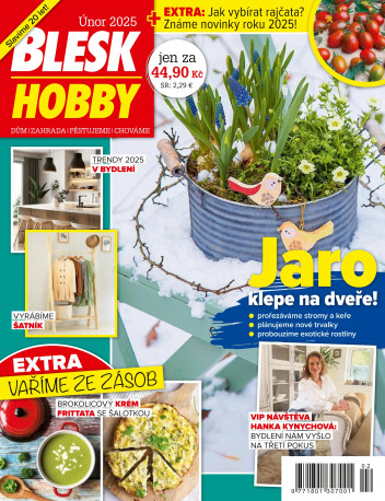Blesk Hobby