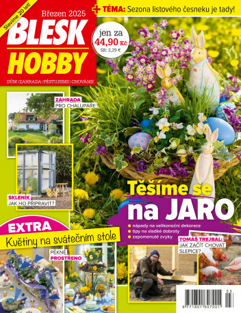 Blesk Hobby