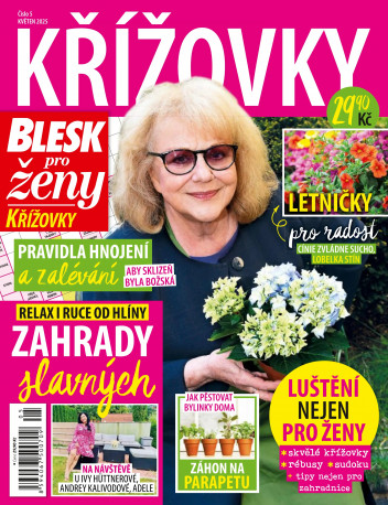 Blesk pro ženy křížovky