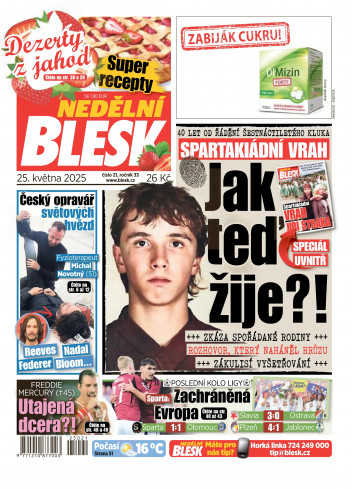 Nedělní Blesk