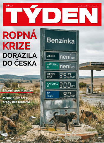 TÝDEN