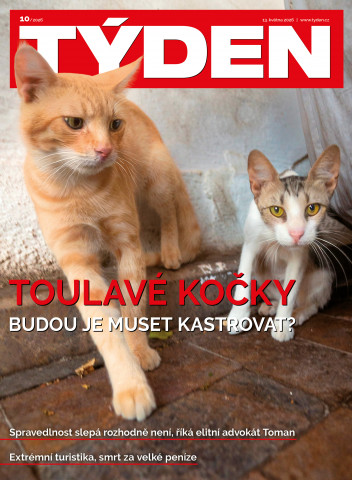 TÝDEN