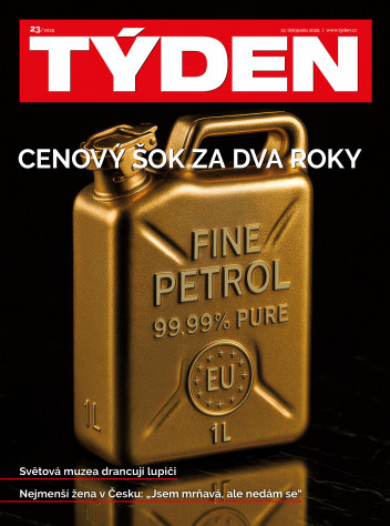 TÝDEN