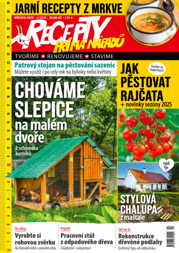 Recepty prima nápadů