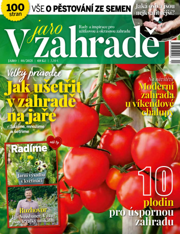 V zahradě