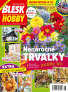 Blesk Hobby