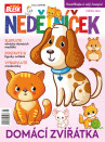 Nedělníček