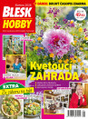 Blesk Hobby