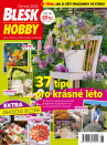 Blesk Hobby