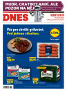 Mladá fronta DNES