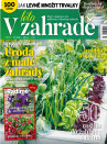 V zahradě