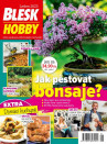 Blesk Hobby