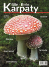 Bílé - Biele Karpaty
