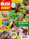 Blesk Hobby