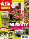 Blesk Hobby