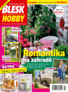 Blesk Hobby