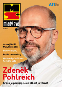 Mladý svět