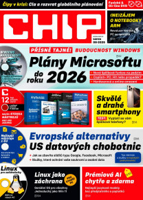 CHIP