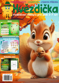 Hvězdička