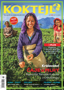 Koktejl
