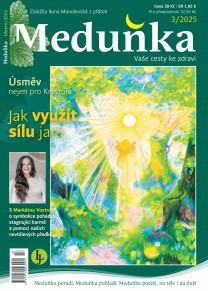 Meduňka