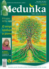 Meduňka