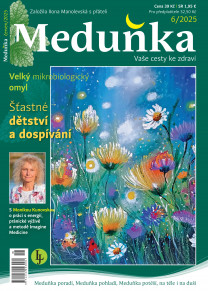 Meduňka
