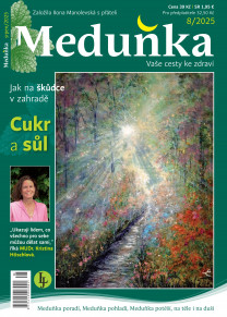 Meduňka