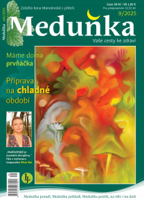 Meduňka