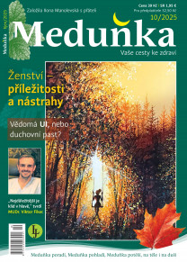 Meduňka