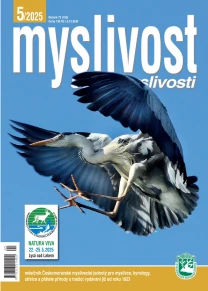 Myslivost