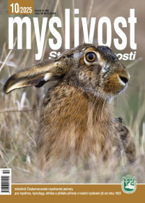 Myslivost