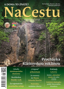NaCestu
