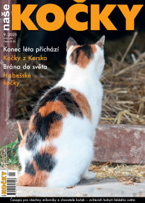 Naše kočky