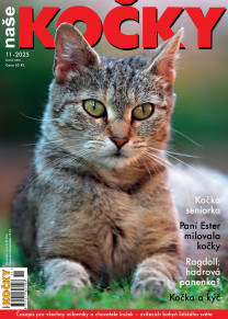 Naše kočky