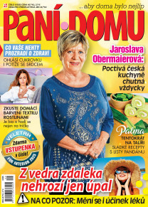 Paní Domu