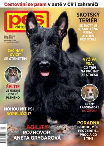 Pes přítel člověka