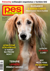 Pes přítel člověka