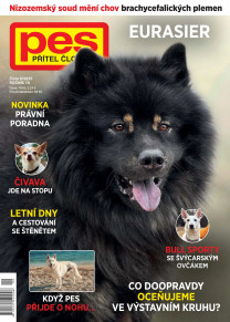 Pes přítel člověka