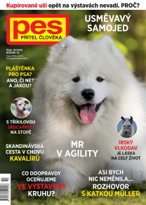 Pes přítel člověka