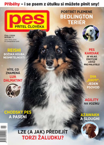 Pes přítel člověka