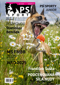 Psí sporty