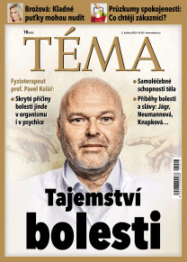 TÉMA