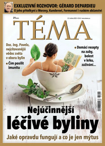 TÉMA