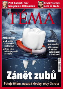 TÉMA
