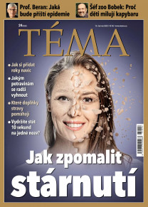 TÉMA