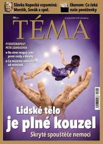 TÉMA