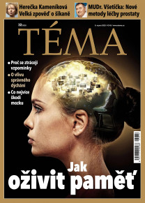 TÉMA