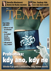 TÉMA